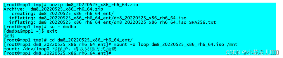 达梦 选择 scheme 达梦 mpp_运维_06