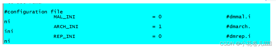 达梦 选择 scheme 达梦 mpp_数据库_13