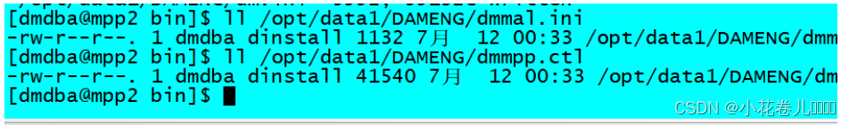 达梦 选择 scheme 达梦 mpp_linux_32