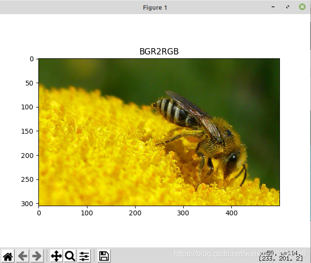 pytorch 双通道输入 pytorch改变通道顺序_pytorch 双通道输入_02