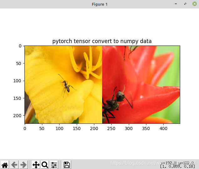 pytorch 双通道输入 pytorch改变通道顺序_pytorch 双通道输入_07