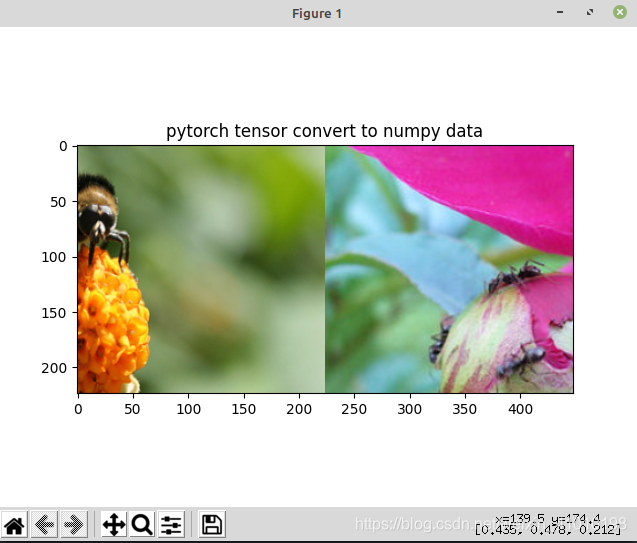 pytorch 双通道输入 pytorch改变通道顺序_读取数据_08