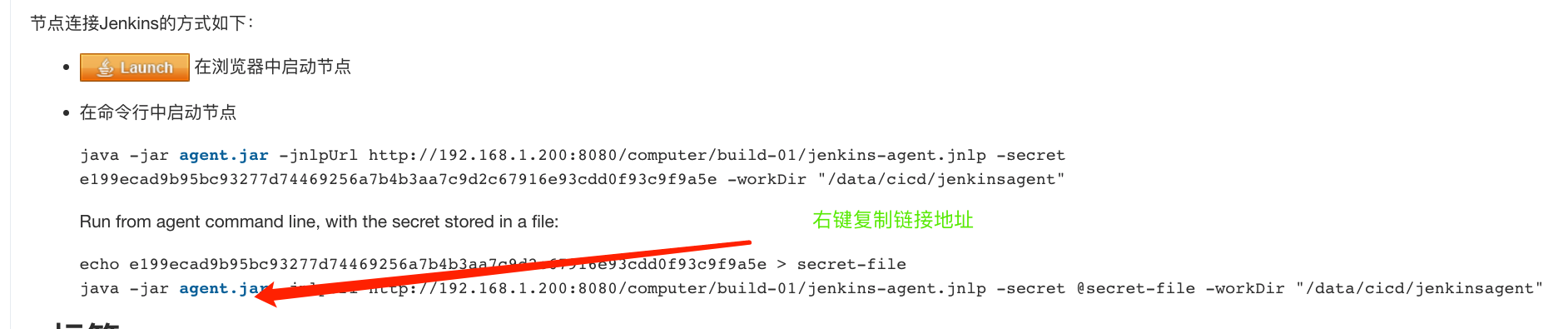 docker jenkins数据 jenkins docker agent,docker jenkins数据 jenkins docker agent_1024程序员节_03,第3张