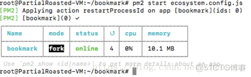 debian安装mysql 怎么登录 debian安装web服务器_nodejs_28