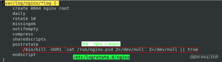 nginx日志文件不显示中文 nginx日志乱码_nginx_21