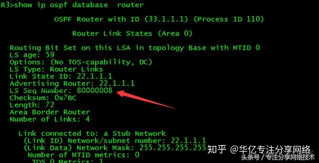 DD报文 ospf dd报文和spf算法_序列号_06