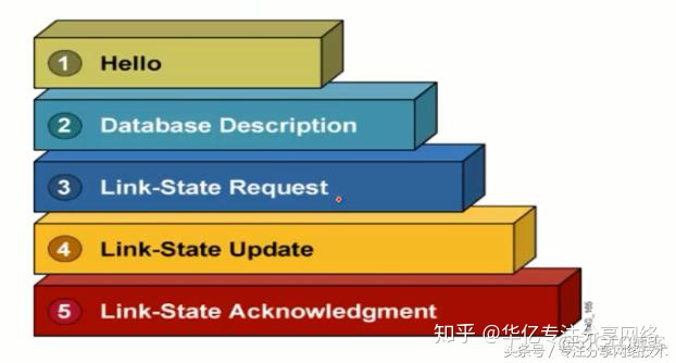 DD报文 ospf dd报文和spf算法_序列号_10