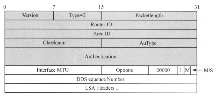 OSPF协议的Hello报文 ospf协议报文有哪些_序列号_03