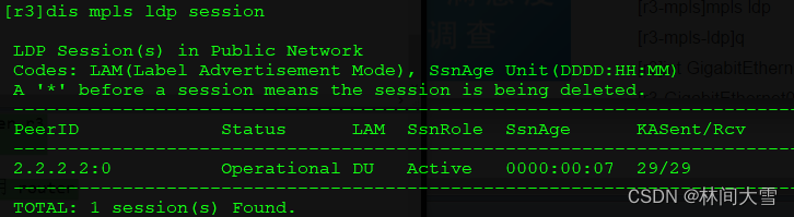 vxlan防环机制 vpls防环_Ethernet_09