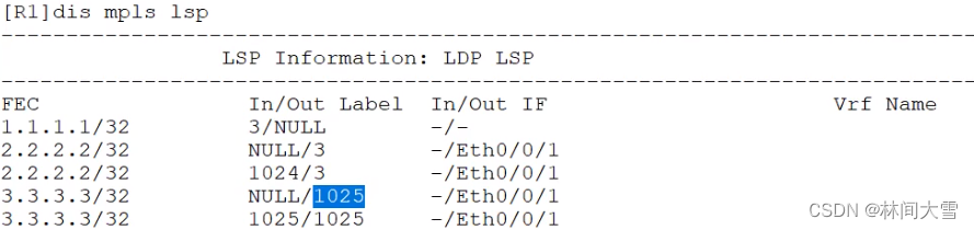 vxlan防环机制 vpls防环_VPLS_16