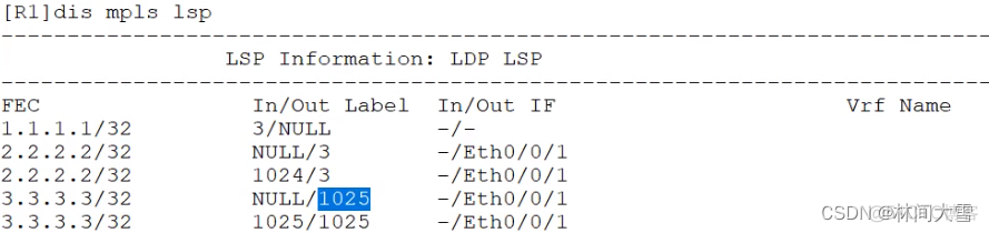 vxlan防环机制 vpls防环_Ethernet_16