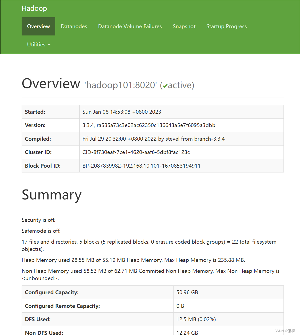 hadoop分布式集群环境搭建实验报告 hadoop集群完全分布式搭建_分布式_30