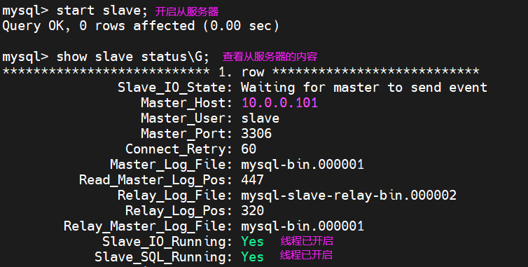 Mysql集群主节点的选举条件 mysql多主集群_MySQL_05