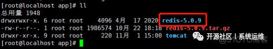 redis 安装 make install 报错 在struct 没有名为的成员 linux安装redis make报错_centos 启动一个redis_09