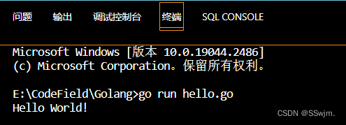 go语言vscode单步调试方法 vscodego语言环境搭建_go语言vscode单步调试方法_10