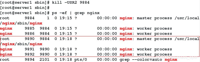 nginx配置中的通配符 nginx同步配置,nginx配置中的通配符 nginx同步配置_vim_11,第11张