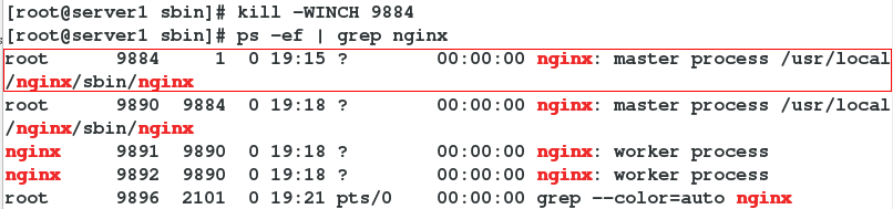 nginx配置中的通配符 nginx同步配置,nginx配置中的通配符 nginx同步配置_nginx配置中的通配符_12,第12张