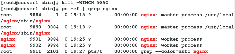 nginx配置中的通配符 nginx同步配置,nginx配置中的通配符 nginx同步配置_旧版_16,第16张