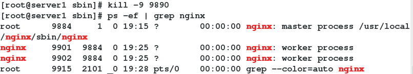 nginx配置中的通配符 nginx同步配置,nginx配置中的通配符 nginx同步配置_旧版_18,第18张