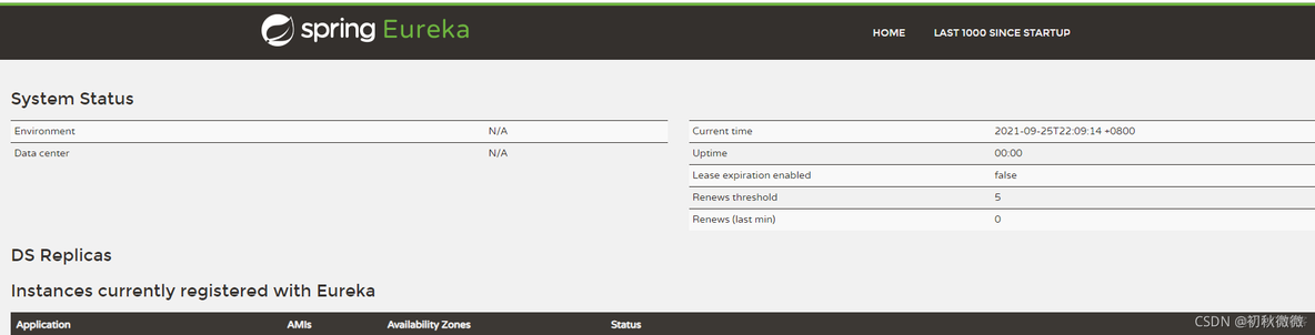 springcloud eureka服务器密码 springcloud服务注册中心eureka_Server_02