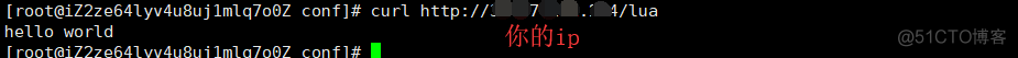 openresty lua可以对后端服务返回数据加密后返回给用户吗 openresty的lua版本_nginx_08