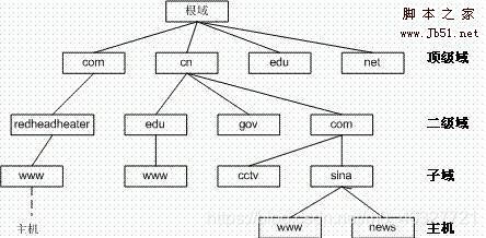 centos 无法dns centos8 dns_dns服务器