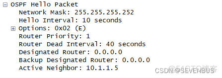 ospf技术实现两分公司实现通信 ospf的2way_华为_24