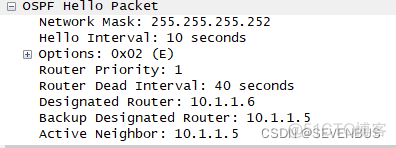 ospf技术实现两分公司实现通信 ospf的2way_网络_26