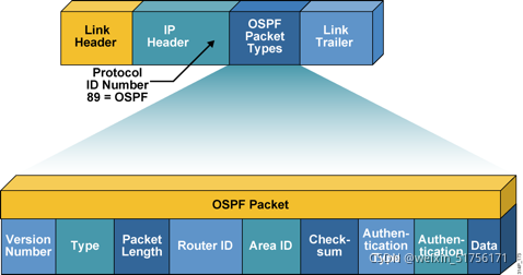 运行ospf协议LSU作用 ospf协议运行的最终状态,运行ospf协议LSU作用 ospf协议运行的最终状态_链路,第1张