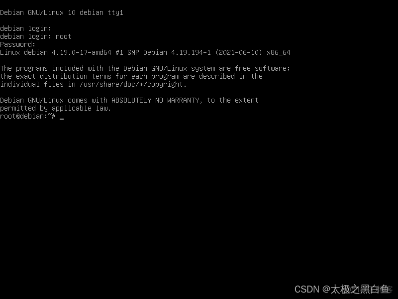 debian连不上网 不能安装redis debian10网络安装_linux_51