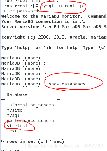 centos部署nodejs18 centos部署php项目_centos 7部署网站_11