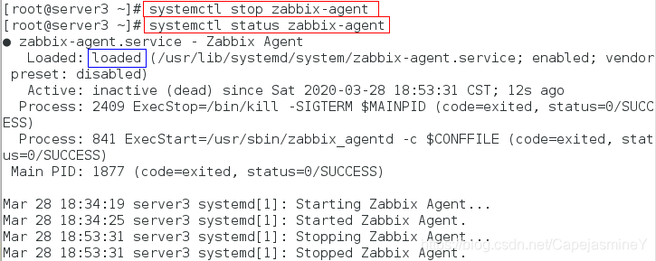 zabbix安装好后在浏览器无法连接 zabbix proxy 连接 zabbix server_web界面_02