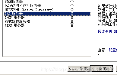 windows 搭建hdfs Windows 搭建dns域名服务器_windows 搭建hdfs_10