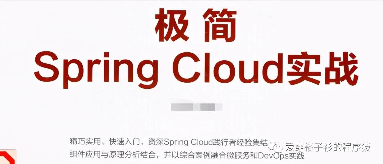 简历上springcloud怎么写 springcloud项目简历_spring cloud