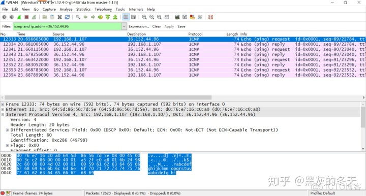 wireshark 抓包分析RTSP wiresharkicmp抓包分析_icmp报文_02