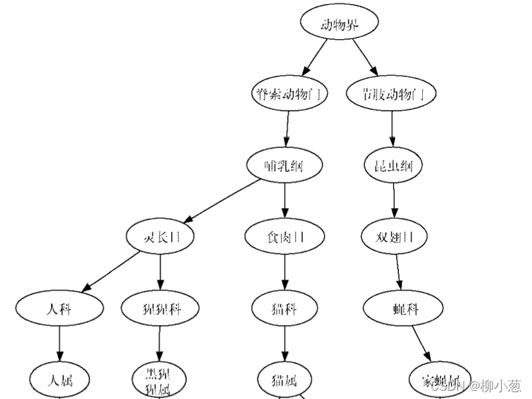 py_trees 装饰节点 python树节点_开发语言