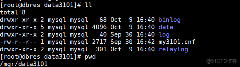 dockerfile arg 动态参数 docker 动态链接库_端口号_03