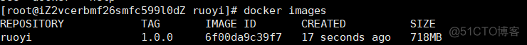 dockerfile 部署 vue dockerfile部署项目_spring boot_07