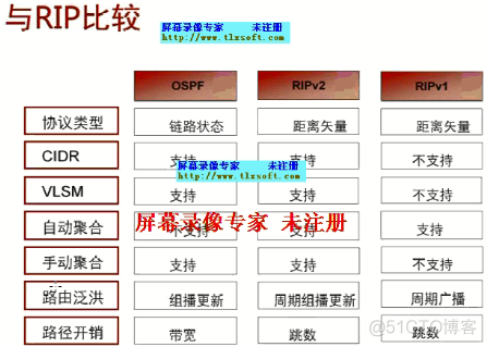 ospf协议称为什么算法 ospf协议是基于什么算法_数据库