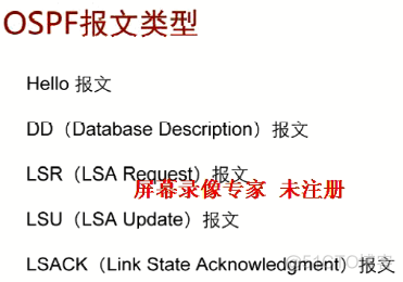 ospf协议称为什么算法 ospf协议是基于什么算法_数据库_04