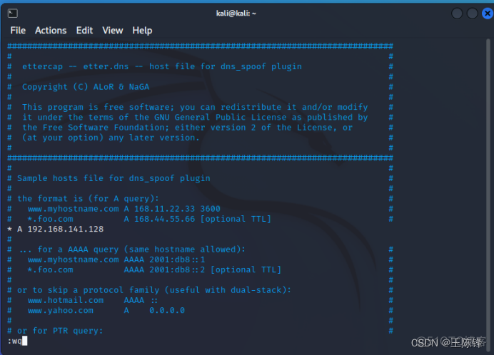 wireshark 第二章 dns 用wireshark分析dns_apache_11