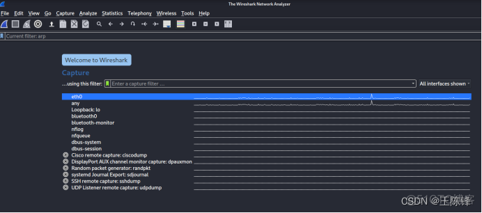 wireshark 第二章 dns 用wireshark分析dns_.net_19