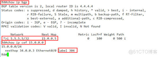 mpls解决路由黑洞原理 mpls解决bgp路由黑洞_IP_10