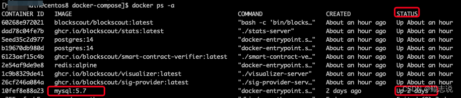 Docker - Docker安装MySql并启动_mysql_05