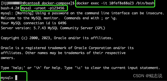 Docker - Docker安装MySql并启动_经验分享_06