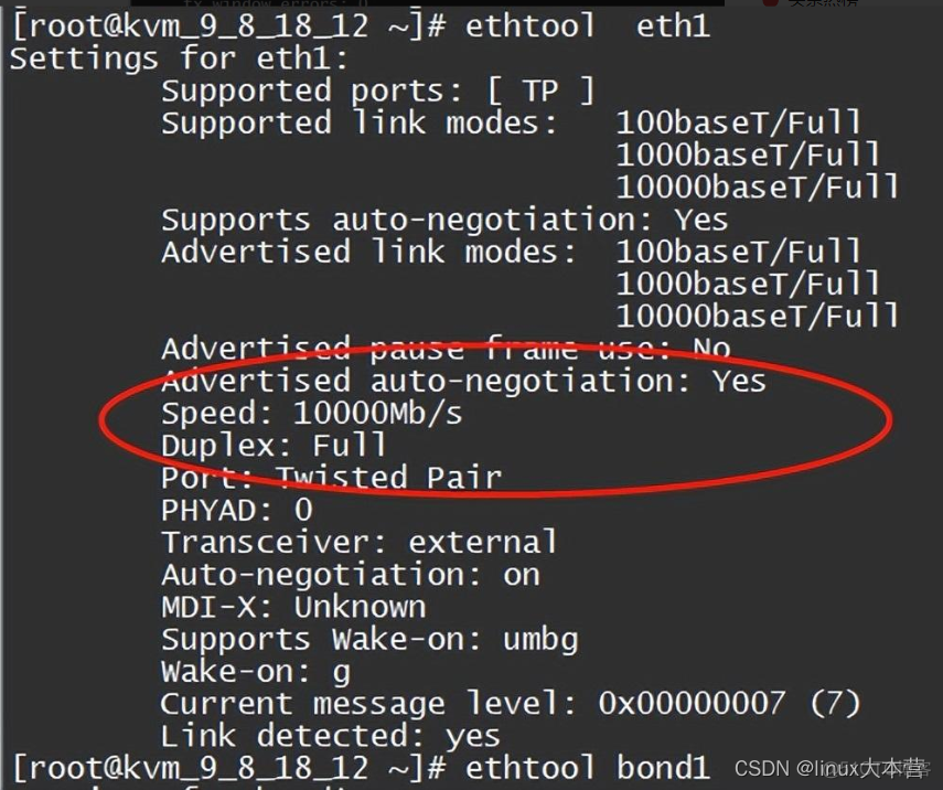 Wireshark 丢包是什么颜色的 丢包网络_tcp/ip_05