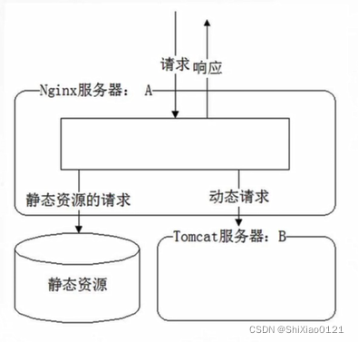 windows nginx 前后端分离 前后端分离 nginx 部署 tomcat_nginx_02