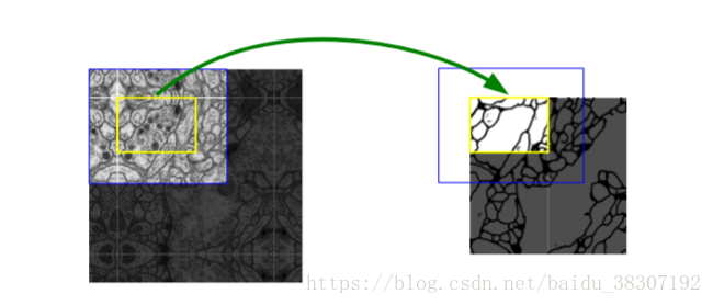 YOLOV8语义分割推理代码 语义分割unet_YOLOV8语义分割推理代码_02