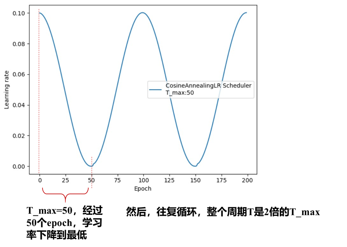 在pytorch中不更新梯度的办法 pytorch 更新参数_数组_05