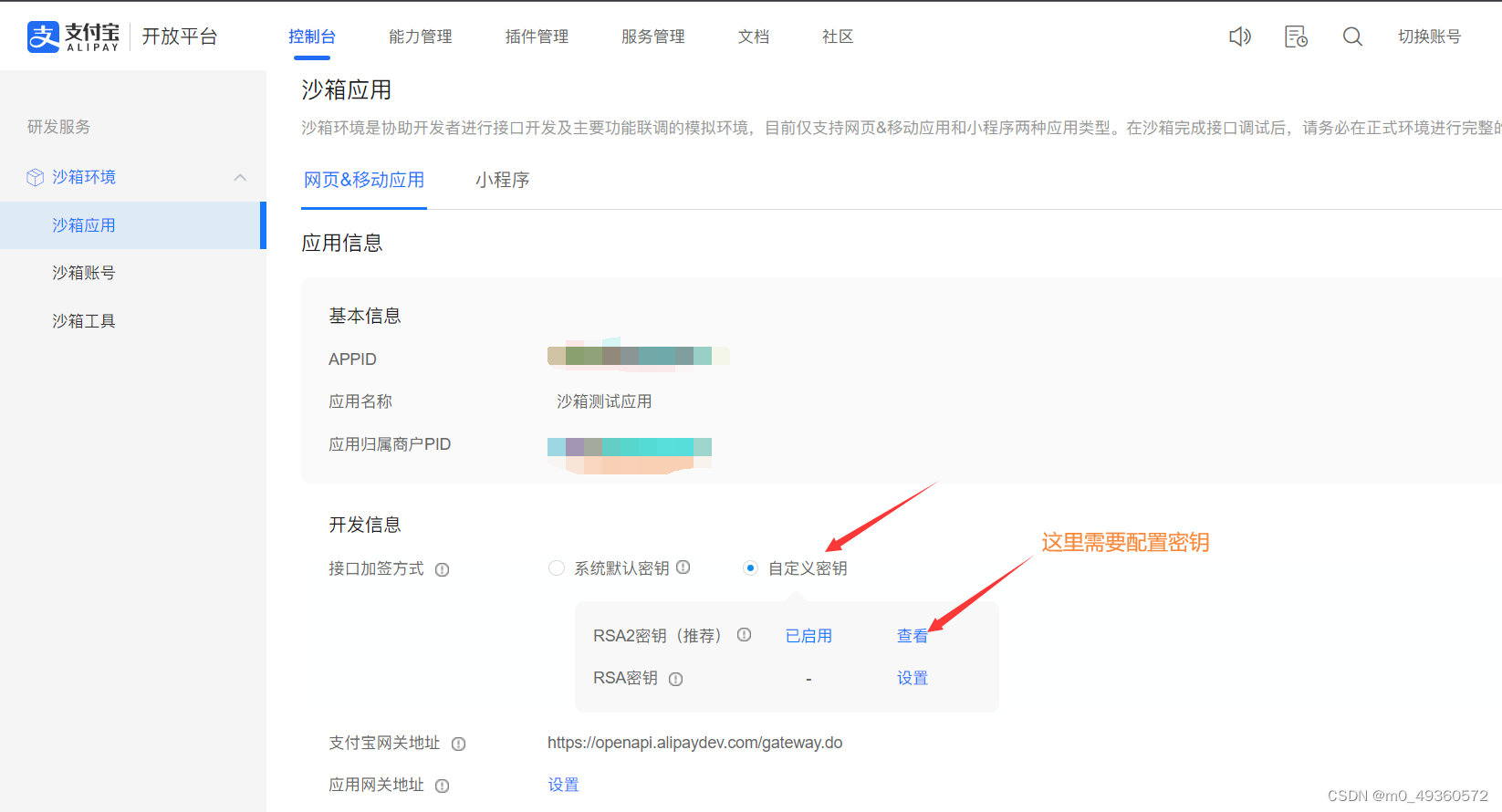 springboot 支付宝沙箱 支付宝沙箱下载官网_java